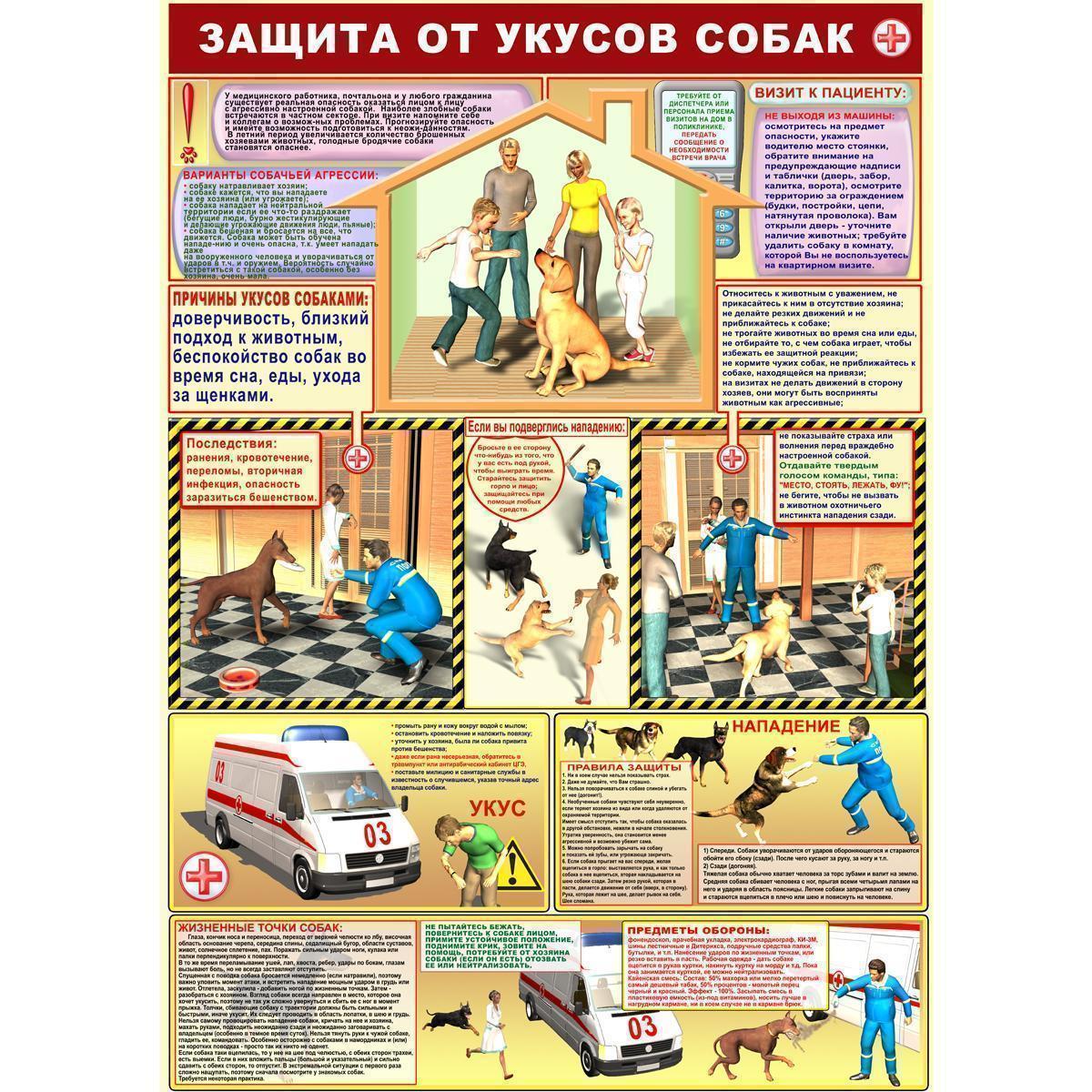 Защита от укусов собак. Плакат